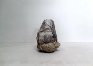 Plugs, 2015