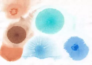 Watercolour, 2021