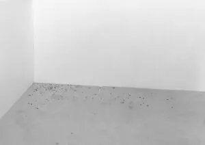 Shell, 2015