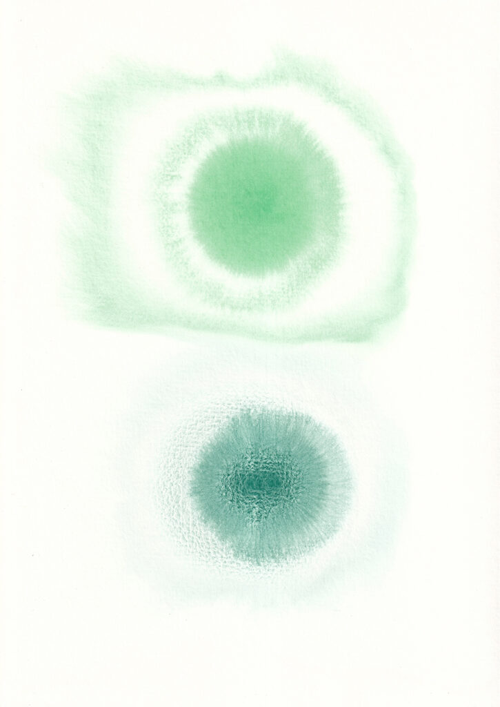 Untitled, 2025