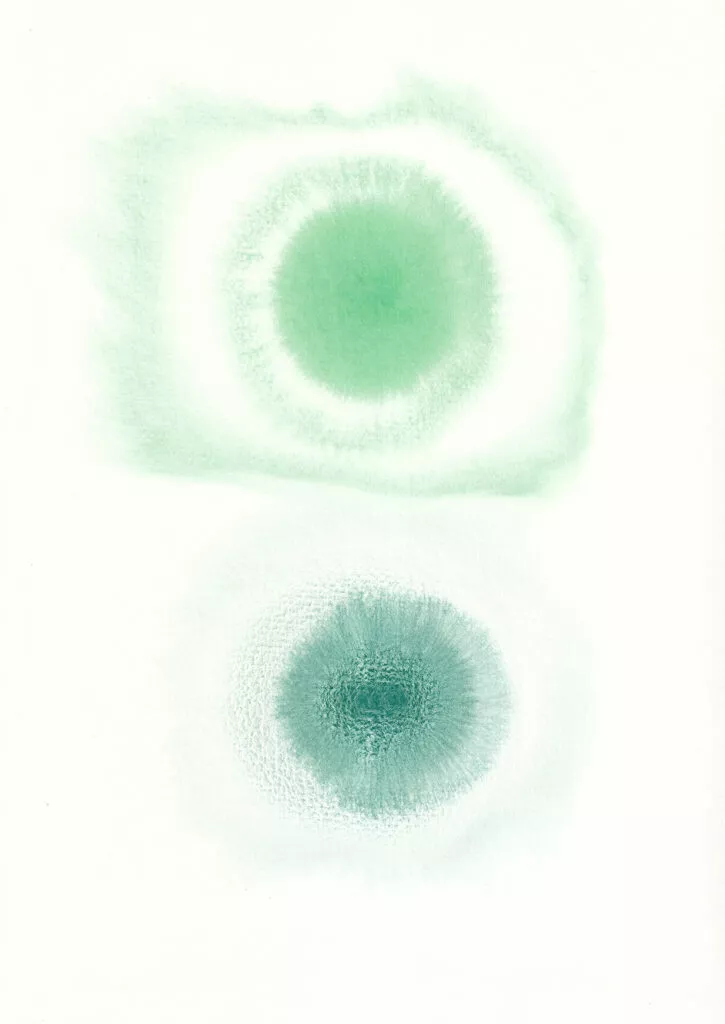 Untitled, 2025