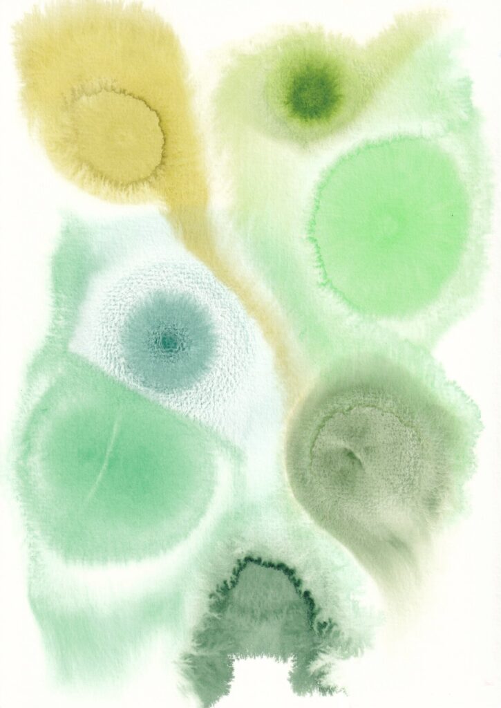 Untitled, 2025