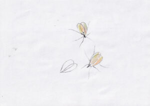 Drawings, 2020