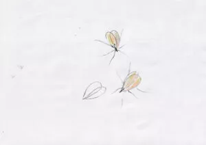 Drawings, 2020